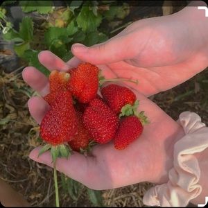 Meet your Posher, Emma